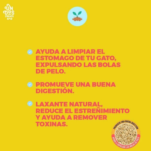 Imagen 4 de 5 de Catgrass Seeds Pasto De Trigo Para Gatos Un Dos Treats