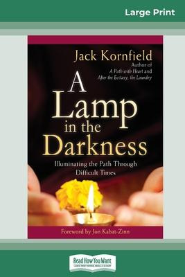 Libro A Lamp In The Darkness : Illuminating The Path Thro...