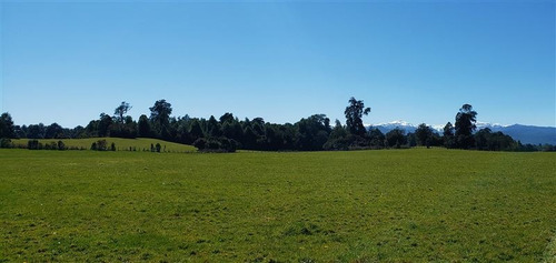 Imagen 2 de 16 de Agrícola En Venta En Río Bueno