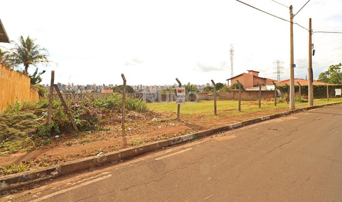 Imagem 4 de 6 de Terreno Á Venda E Para Aluguel Em Jardim Das Paineiras - Te005104