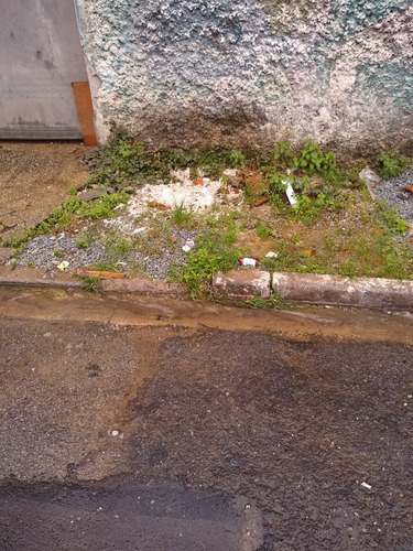 Imagem 1 de 2 de Terreno No Jardim Das Oliveiras.730.00