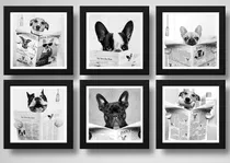 Comprar Set 6 Cuadros Perro Baño Decoracion Mascota Pet Veterinaria