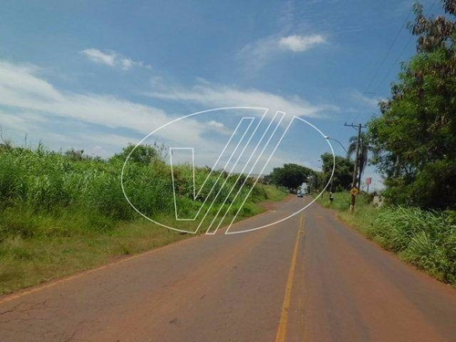 Imagem 5 de 7 de Terreno À Venda Em Betel - Te038043