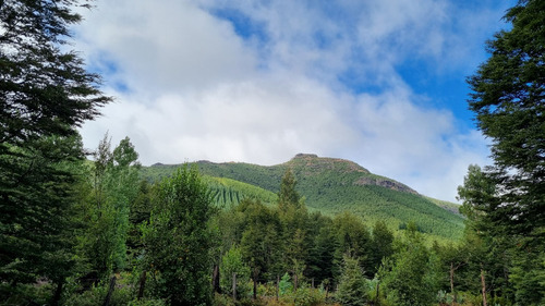 Venta Excelente Fundo De 185 Ha, Comuna Cunco