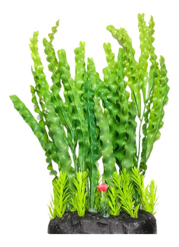 Planta Artificial Aquário Alternantera Crespa Green 37 Cm