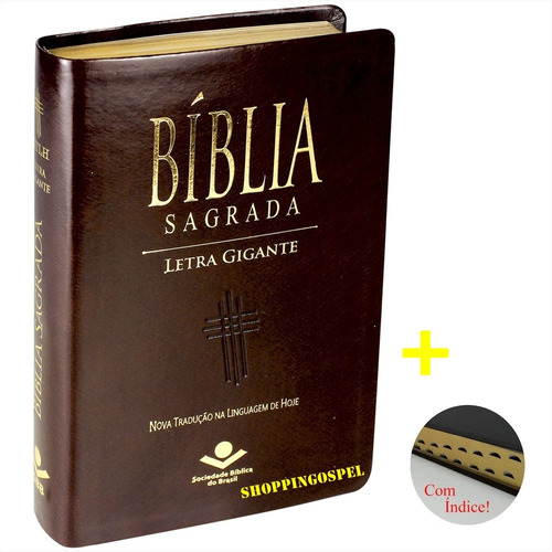 Bíblia Sagrada Letra Gigante Masculina Ntlh Índice Luxo