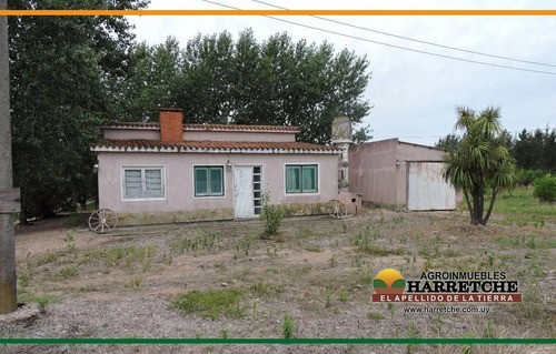 Campo Venta 50 Has Juanico, Casa, Galpones