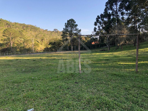 Imagem 19 de 30 de Sitio - St00010 - 69953800