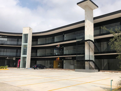 Local En Renta Zona Dominio Cumbres