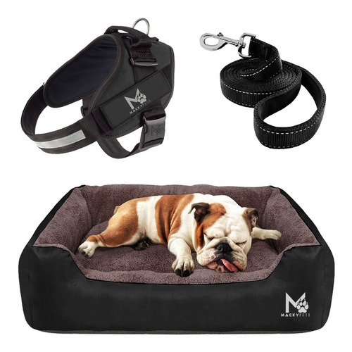 Super Combo / Cama Para Perros L + Pechera M + Paseador