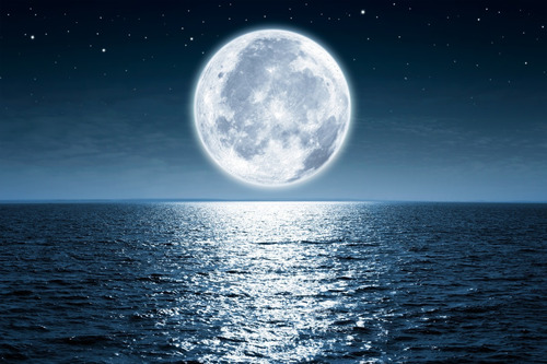 Luna Llena Mar De Noche 70x140cm Canvas Cuadro Decorativo No Aplica
