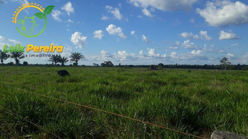 Imagem 1 de 9 de Fazenda  Venda Em Breu Branco - Pa - 2662 Hectares (dupla Aptidão) - 1854