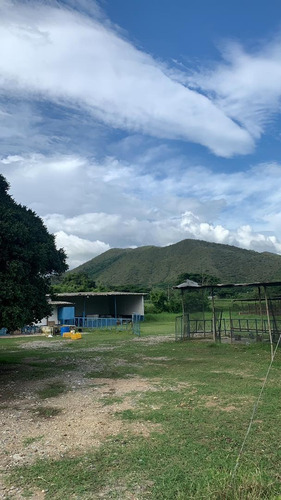 Finca Agropecuaria En Montalbán Cod. Indif-046