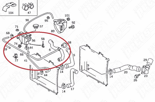 Mangueira Do Radiador Mercedes Clk320 1997-2002 Original