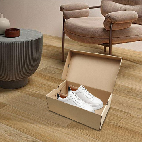 . Caja Almacenamiento Zapatos, Estuche 30cmx18cmx10cm