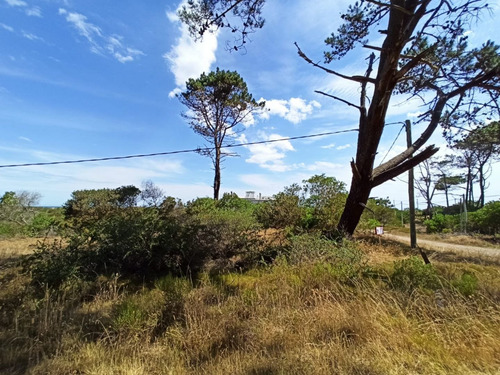 Imagen 2 de 8 de Excelente Terreno Cerca Del Mar