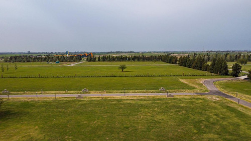 Imagen 18 de 22 de Terreno En Los Pasos 4 De 800m2 En Los Pasos Del Jockey.