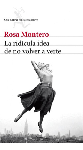 Libro La Ridicula Idea De No Volver A Verte