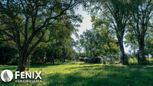 Tf620 - Lotes En Country Casa Del Lago
