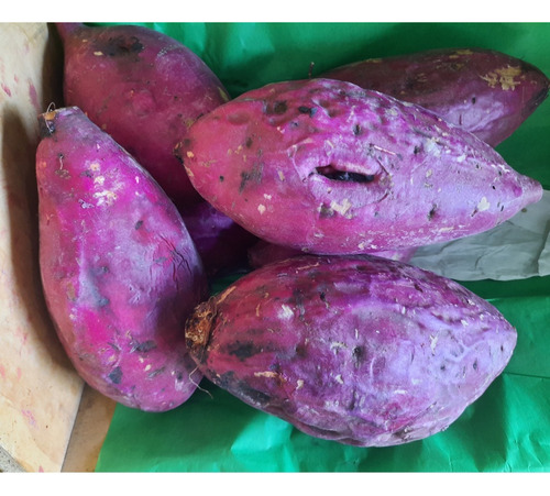Camote Rojo Fresco 1 Kg