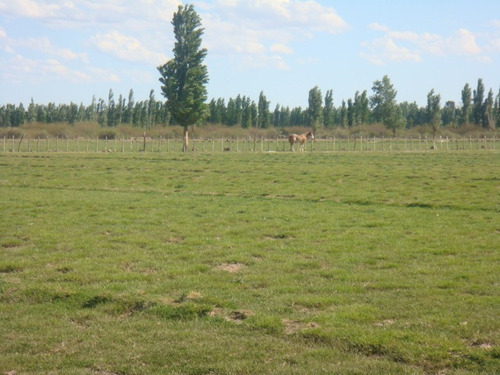 13.5 Ha En Valle Verde