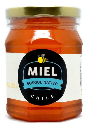 Miel De Abeja Pura Bosque Nativo 500g Cruda - Jpm