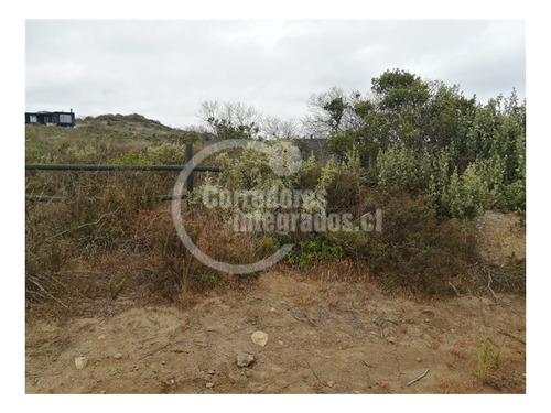 Imagen 6 de 19 de Sitio En Venta En Rocas Del Mar, Los Molles