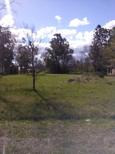 Hermoso Lote Con Pinos Al Fondo En Barrio Parque Las Naciones