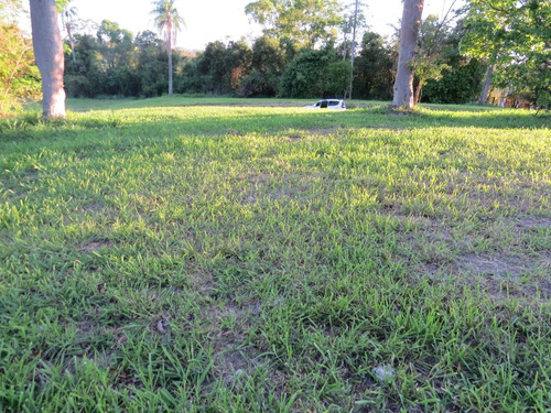 Imagem 5 de 6 de Terreno A Partir De 35 Mil No Empreendimento Ninho Verde I