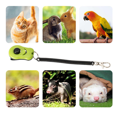 Entrenamiento Con Clicker Para Perros Clicker De Entrenamien