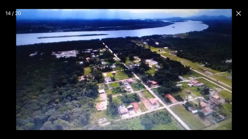Imagem 11 de 14 de Terreno Na Praia Do Ervino. São Francisco Do Sul