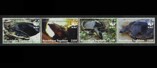 Fauna - Wwf - Tortuga - Togo 2006 - Serie Mint