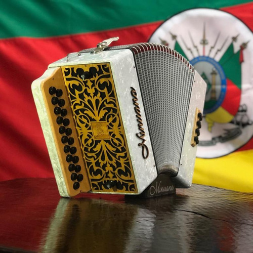 Acordeon 8 Baixos Minuano 8/21 Branca Revestida Celuloide