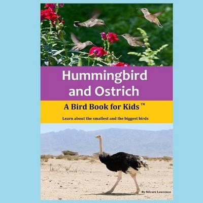 Libro Hummingbird And Ostrich - Novare Lawrence