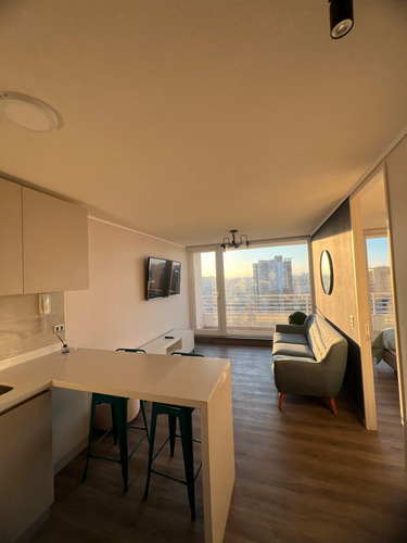 Departamento Amoblado 1 Dormitorio, Centro De Concepción