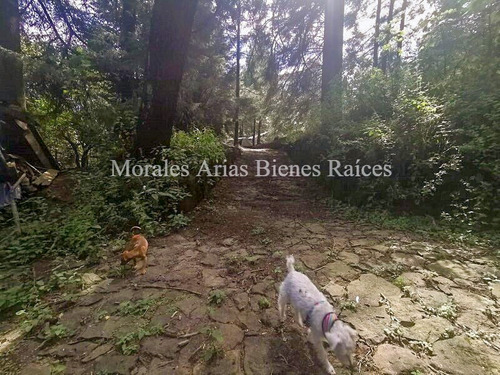Invierte En Tranquilidad: Terreno Residencial Ecológico En El Ajusco