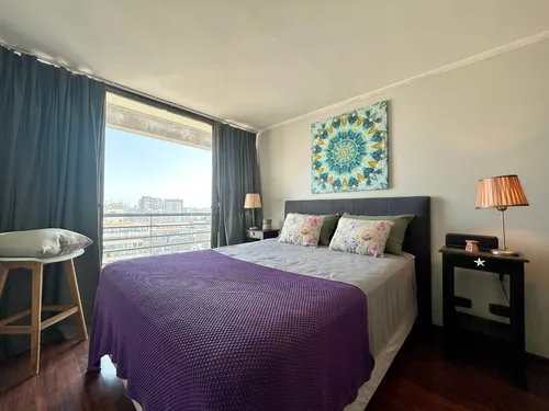 Arriendo Departamento Moderno Y Luminoso Santiago Centro