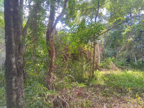 Imagem 8 de 30 de Excelente Terreno Á Venda De 16.500m2 Em Condomínio Rural Clube Juca Vieira C/ Área De 16.500 M², C/ Córrego De Água Cristalina Nos Fundos! - Oci0101 - 69485109
