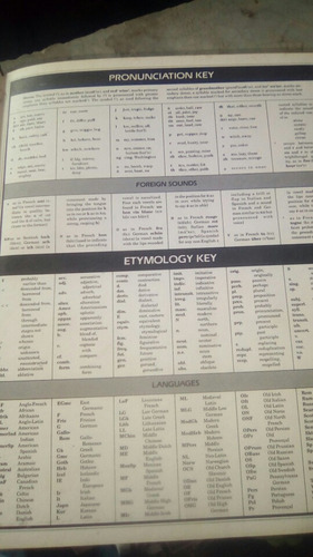 Webster's Enciclopedic Unabridged Dictionary Of The English (Usado)