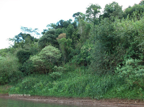 Dueño Vende 29ha, Con Título De Propiedad, 600mts De Costa Sobre El Río Uruguay, Arroyo Y Nacientes De Agua.