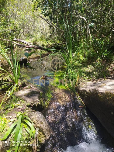 Imagen 11 de 19 de Se Vende Muy Lindo Campo Con Cañada !!