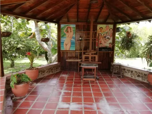 Venta Finca En Yolombo Via Gomez Plata