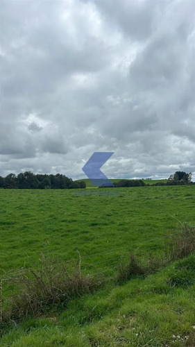 Lindo Terreno En Venta En Los Muermos