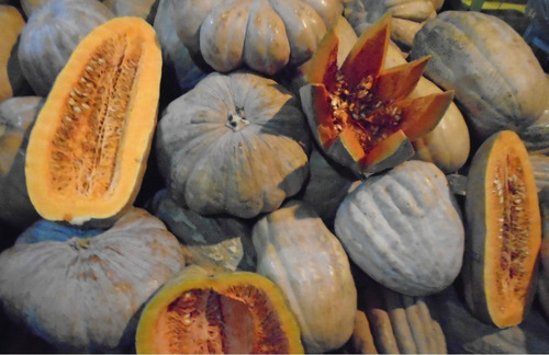 Calabaza Castilla Natural Ornamental Grande 1 Pieza 8 Kg