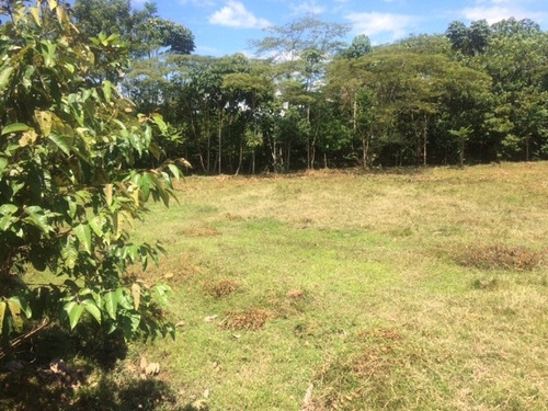 Imagen 10 de 12 de Lote Restrepo Meta Cairo Alto