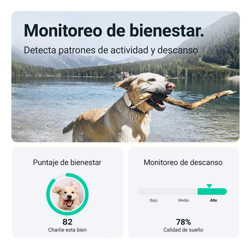 Tractive - Localizador Gps Para Perros. Localización Ilimita