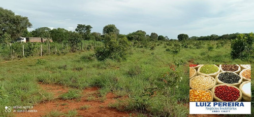 Imagem 3 de 15 de Fazenda À Venda Em Figueirópolis - To - De 114 Alqueirões (dupla Aptidão) - 1672