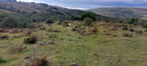 Campo En Carape Son 42 Hs 2293 M2