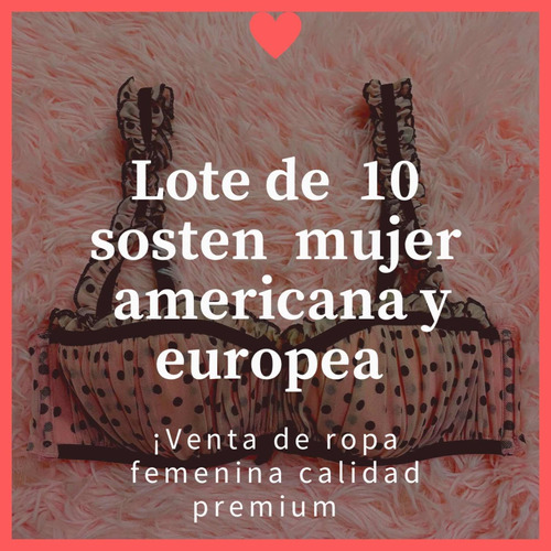 Lote 10 Sostén Americano/europeo