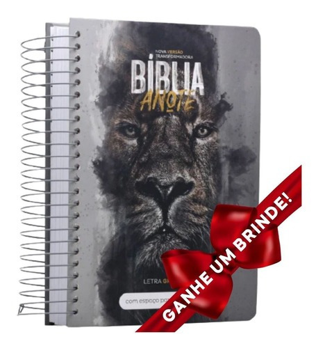 Bíblia Sagrada Anote Rei Dos Reis Letra Grande Capa Dura